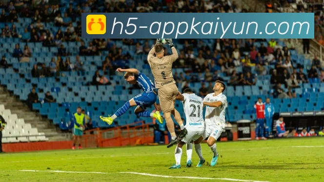 开云平台展示图